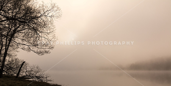 Stillness and change, morning