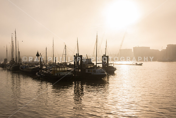 Hermitage Mooring - fog